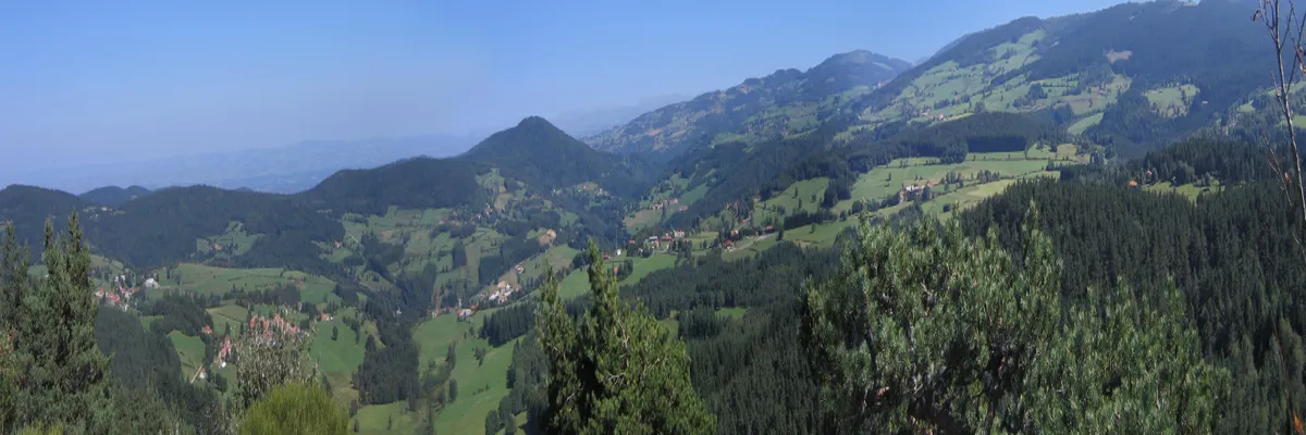 image-monte-escalier-loire.webp Image Monte escalier Loire