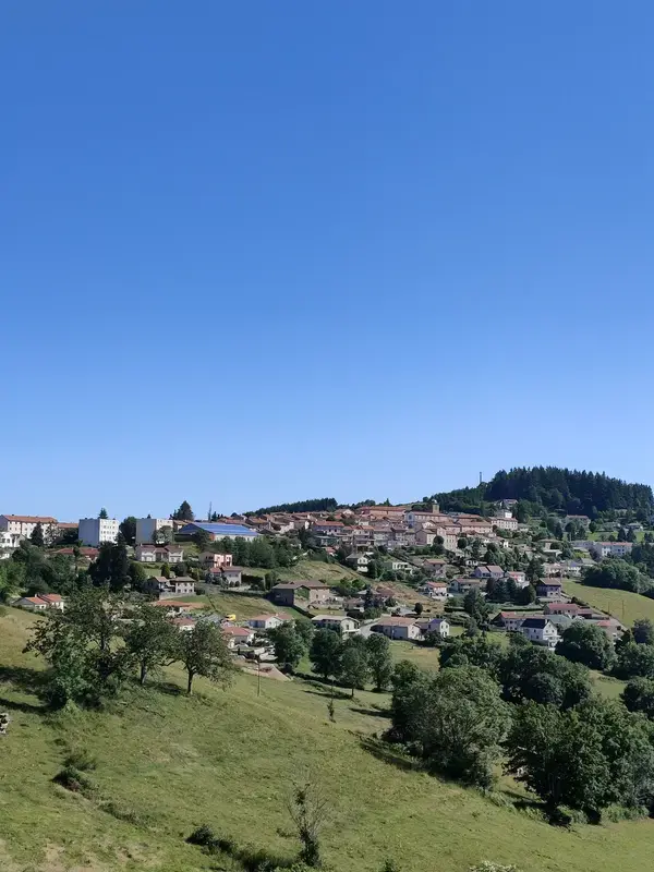 Monte Escalier 42 Monte escalier Violay